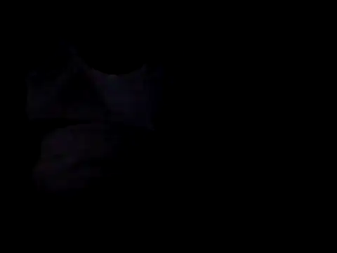 bogbosdick stripchat live cam model