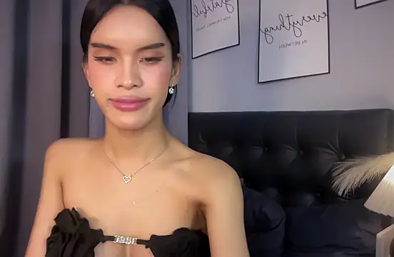 Candicemeow stripchat live cam model
