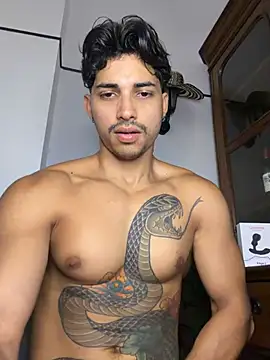 David_Tresh5 stripchat live cam model