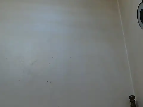 TThickblackpussy1 stripchat live cam model
