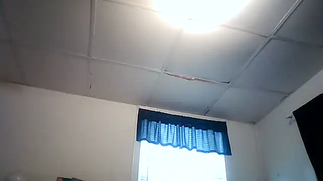 starlight1983 stripchat live cam model