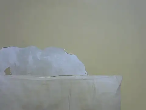 wild_vixen stripchat live cam model