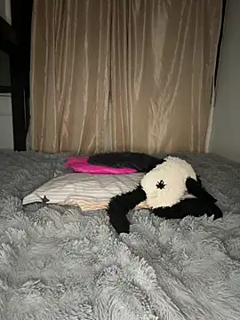 Cataleyasweetbooty stripchat live cam model