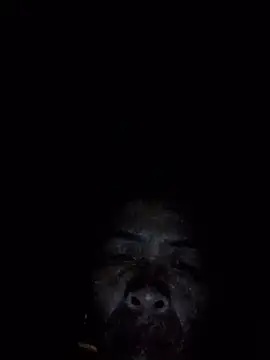Take_Nude stripchat live cam model