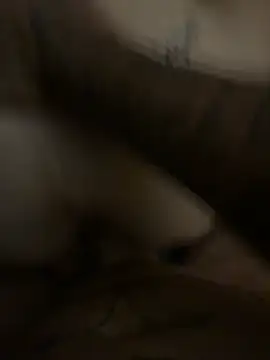 pawgslayer352 stripchat live cam model