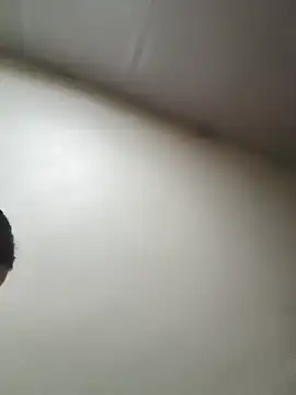 he-se-kin stripchat live cam model
