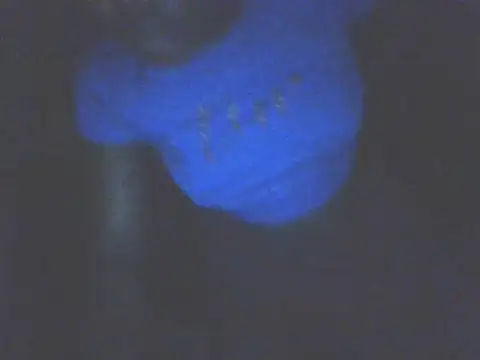 Diamond_in_da_roof stripchat live cam model