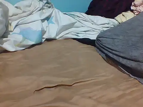 nastypie1 stripchat live cam model