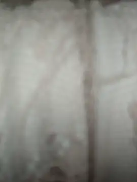Coral_hi stripchat live cam model