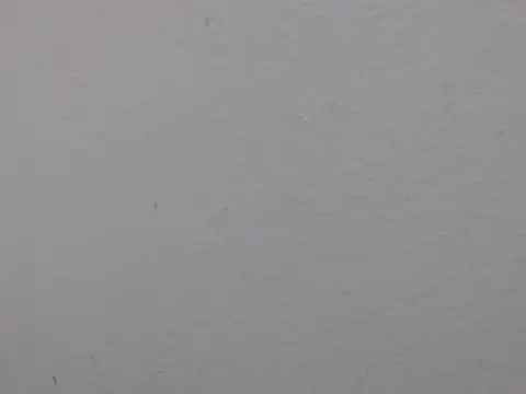 Adriana_0312 stripchat live cam model