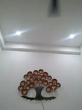 hottydisha stripchat live cam model