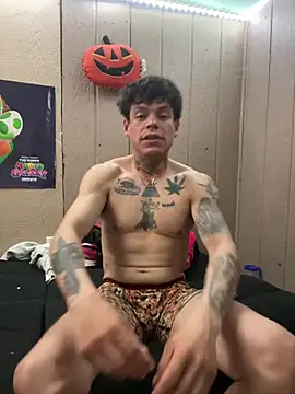 Imnotabatman45 stripchat live cam model