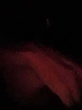 crazycam619 stripchat live cam model