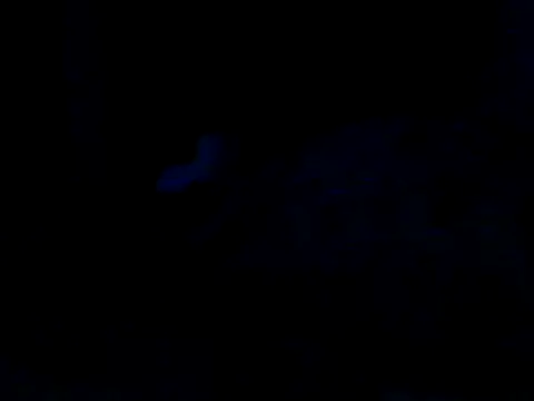 Silencio26 stripchat live cam model
