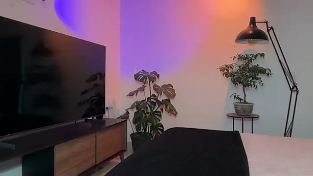 Noah_and_Steven stripchat live cam model