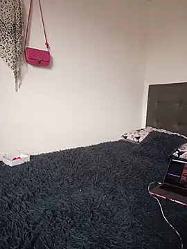 veronicatorre stripchat live cam model