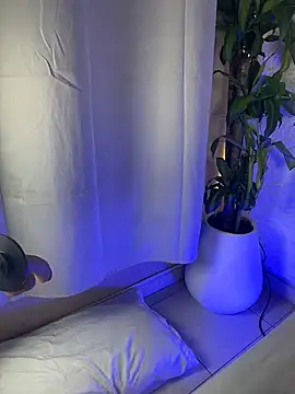 KattyManson stripchat live cam model