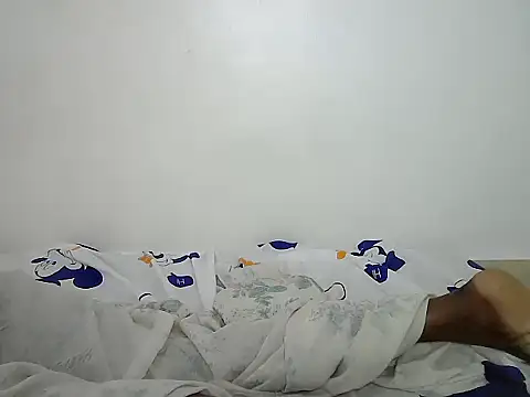 Lovince stripchat live cam model