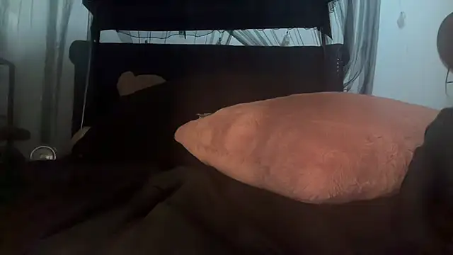odbodu stripchat live cam model