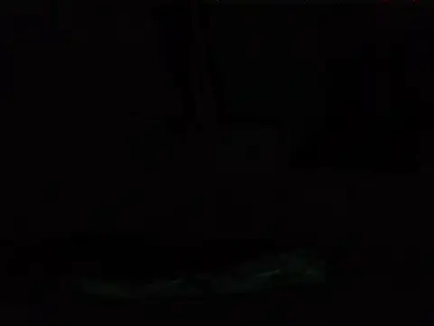 littlefrankie stripchat live cam model