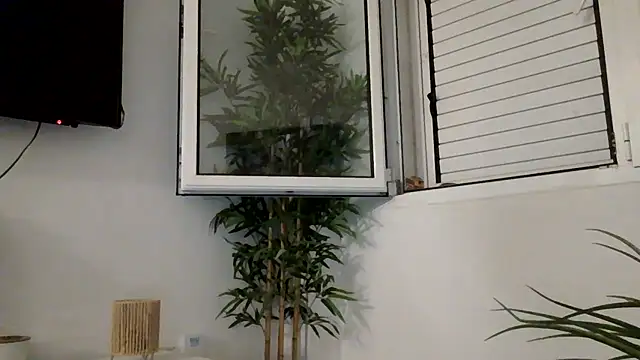 yanick931 stripchat live cam model