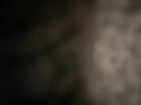 Jcalibwc556 stripchat live cam model