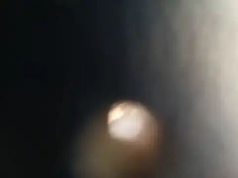 mariusSingur stripchat live cam model