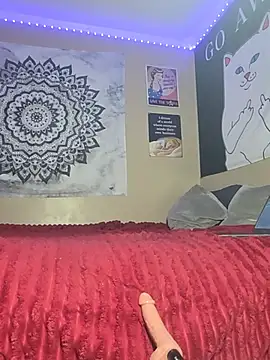 xoxoameliarose stripchat live cam model