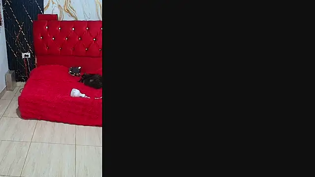 aisha_funny stripchat live cam model