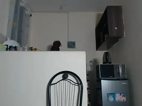 Hella254 stripchat live cam model