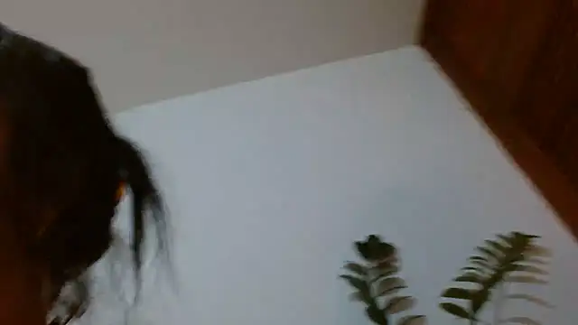 naiaratobon__ stripchat live cam model