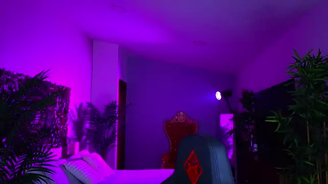 ambarEvans stripchat live cam model