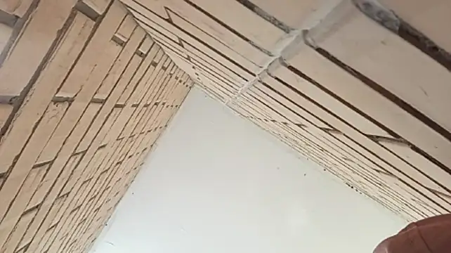 IronicBuckle stripchat live cam model