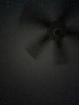 Highfrog1 stripchat live cam model