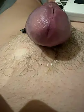 Xxxphil66xxX stripchat live cam model