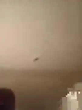 Bubblebunlove stripchat live cam model