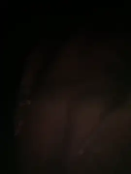 elprok2026 stripchat live cam model