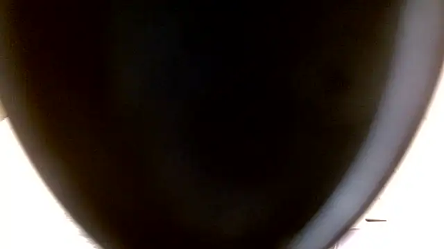 July_rosie stripchat live cam model