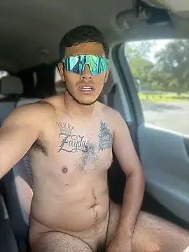 StrokingDaddy4 stripchat live cam model