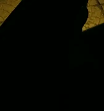 dongoralesko77 stripchat live cam model