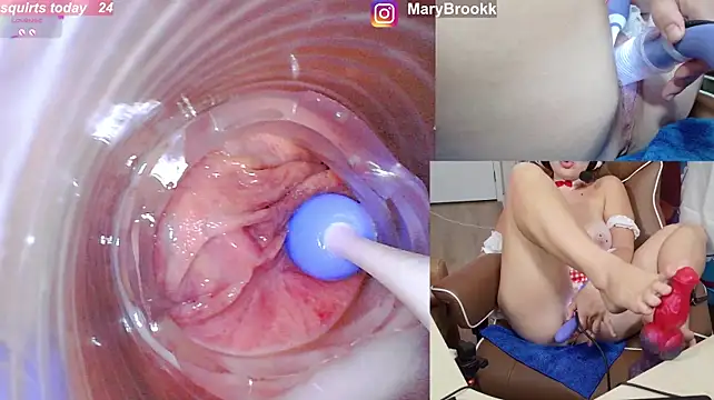 MaryBrook1 stripchat live cam model