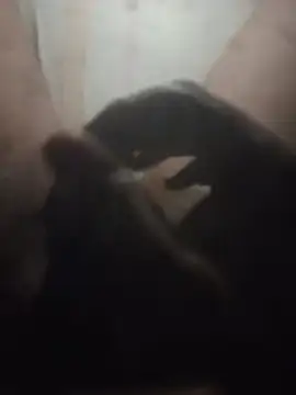 Pakayahuthta stripchat live cam model