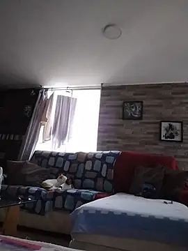 KittyHoleshot87 stripchat live cam model
