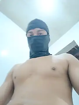 websterribeiro stripchat live cam model