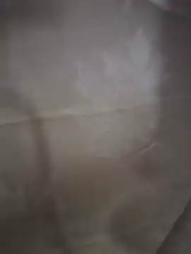 anime221 stripchat live cam model
