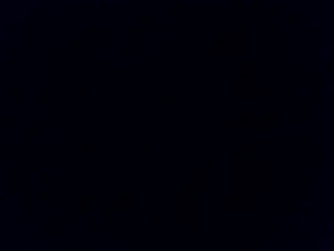ArcticRubber1989 stripchat live cam model