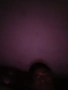 enguiladera stripchat live cam model